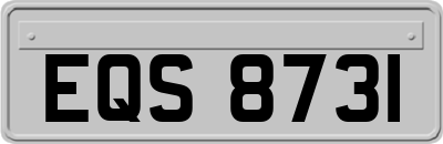 EQS8731