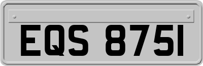 EQS8751