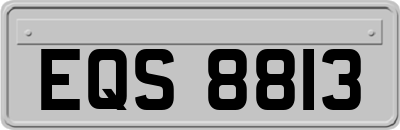EQS8813