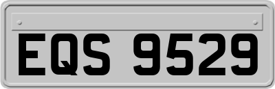 EQS9529