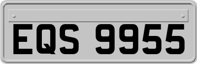 EQS9955