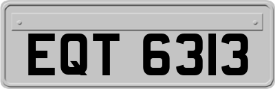 EQT6313