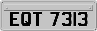 EQT7313