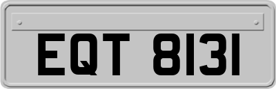 EQT8131