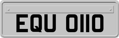 EQU0110