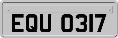 EQU0317