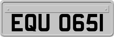 EQU0651