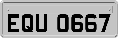 EQU0667