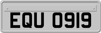 EQU0919