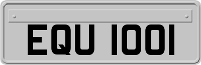 EQU1001