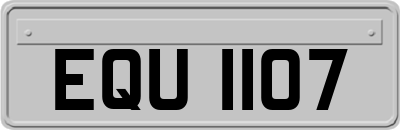 EQU1107