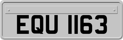EQU1163