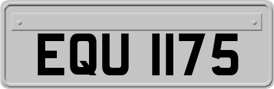 EQU1175