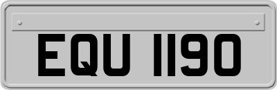 EQU1190