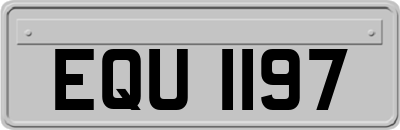 EQU1197
