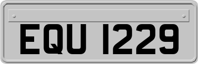 EQU1229