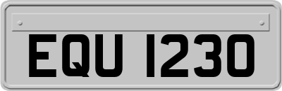 EQU1230