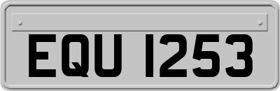 EQU1253
