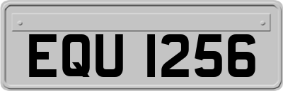 EQU1256
