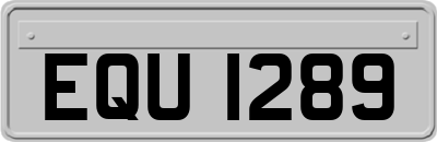 EQU1289