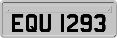 EQU1293