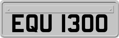 EQU1300