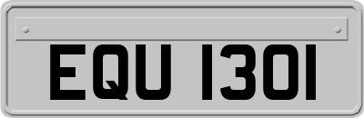 EQU1301