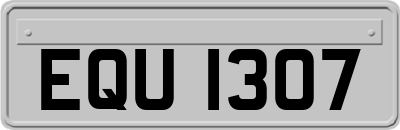 EQU1307