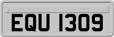 EQU1309