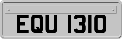 EQU1310