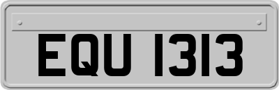 EQU1313