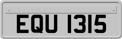 EQU1315