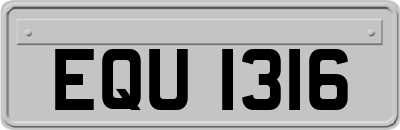 EQU1316