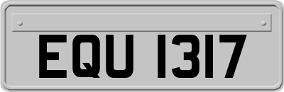 EQU1317