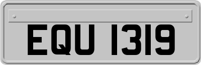 EQU1319