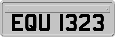EQU1323