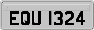 EQU1324
