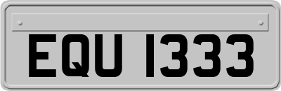 EQU1333