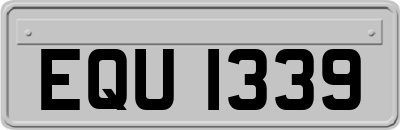 EQU1339