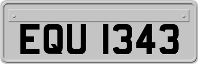 EQU1343