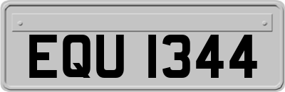 EQU1344