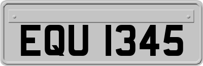 EQU1345