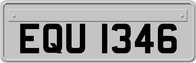 EQU1346
