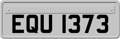EQU1373