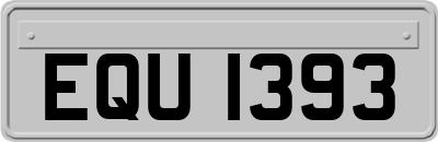 EQU1393