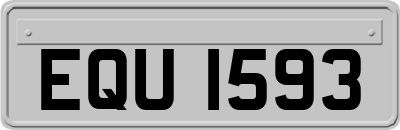 EQU1593