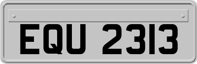 EQU2313
