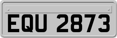 EQU2873