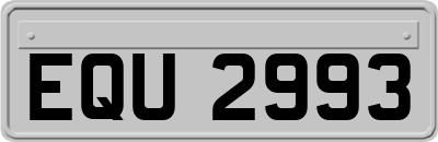EQU2993