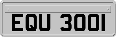 EQU3001